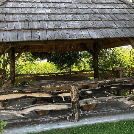 Zielona Dolina Villa Rutka-Tartak Buitenkant foto