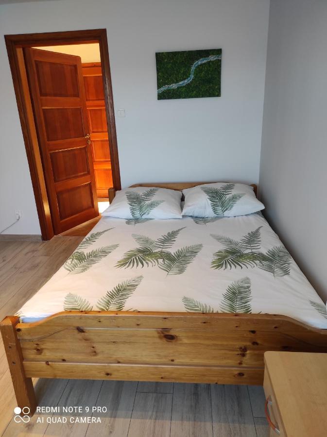 Zielona Dolina Villa Rutka-Tartak Buitenkant foto